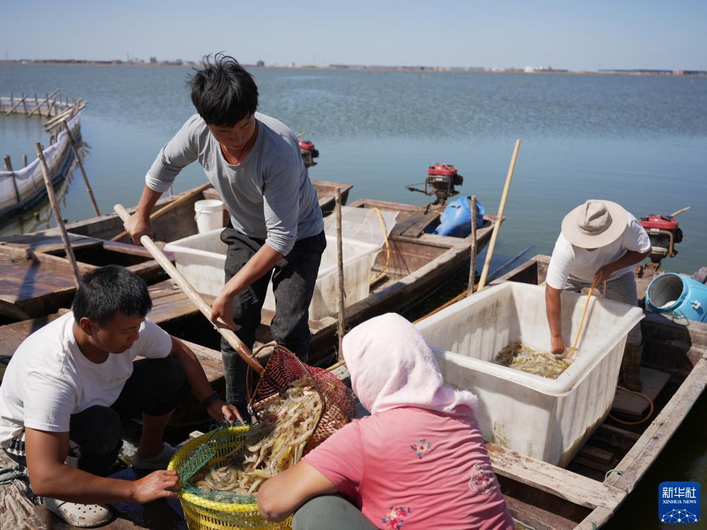 大赢家软件下载